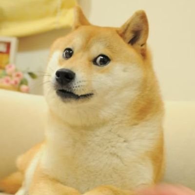 henhao928's profile picture. 