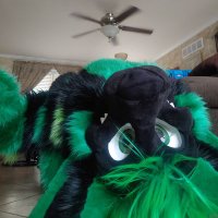 Sushi with soy sauce (@soundvillagedog) 's Twitter Profile