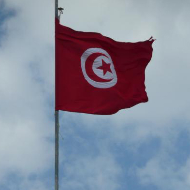 LogicEssiassi's profile picture. 