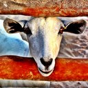 Aloneretic - @KenRoy22 - Twitter