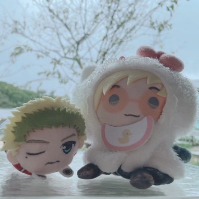 しらぎくさんのプロフィール画像