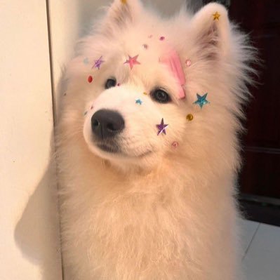 pvacg_'s profile picture. 