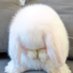 ◡̈ (@i992o9o4) Twitter profile photo ◡̈ (@i992o9o4) Twitter profile photo