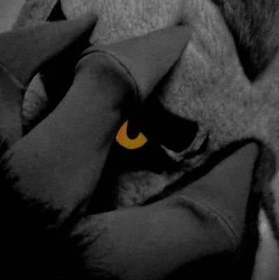 Gang_A_Zenith's profile picture. Moray eel
Gang
Liriope