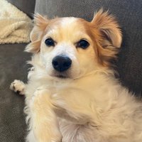 Dottie Minerva (@dottieminerva1) 's Twitter Profile