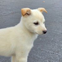 투데이봉순 (@bongsun_today) 's Twitter Profile Photo