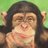 FuckingSeTips's profile image