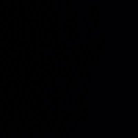 Gus the porn director (@datgus717) 's Twitter Profile