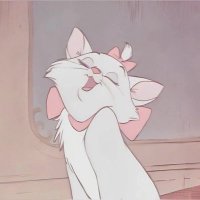 Berry🐰 งดต่อราคา โอเคกับราคาค่อยทัก❗️ (@a3n6c) 's Twitter Profile