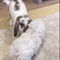 🐰🤍🪐 (@sroithong24) 's Twitter Profile Photo 🐰🤍🪐 (@sroithong24) 's Twitter Profile Photo