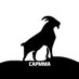 CAP MMA (@capmmacom) Twitter profile photo CAP MMA (@capmmacom) Twitter profile photo