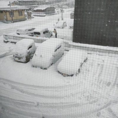 kobimaruhima's profile picture. 