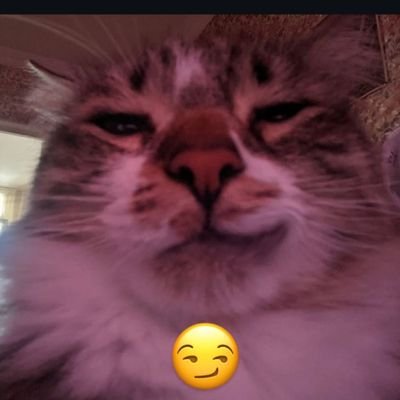 Kanela_kun's profile picture. cansado …⁠ᘛ⁠⁐̤⁠ᕐ⁠ᐷ