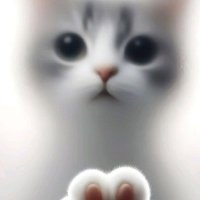 Verdade nua e crua #BBB25 (@lfsdogogo) 's Twitter Profile Photo Verdade nua e crua #BBB25 (@lfsdogogo) 's Twitter Profile Photo