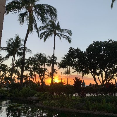 scparks70's profile picture. 