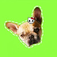 บรูโน่ | หมาบ่าวของเบคฟรีน🐶 (@ppfb_ya) 's Twitter Profile