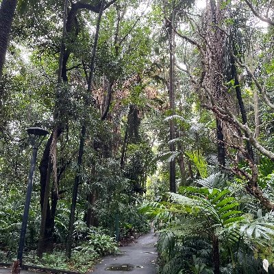 nanadan03168175's profile picture. 