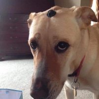 Dodecagono (@wasapraca) 's Twitter Profile