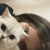 Lara (@luissanttos157) 's Twitter Profile Photo Lara (@luissanttos157) 's Twitter Profile Photo