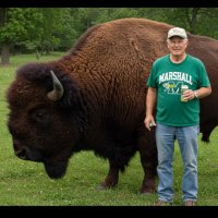 Roy Collins (@roycollins74) 's Twitter Profile