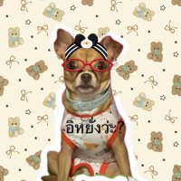 mayya จะอยู่ตรงนี้ข้างๆเฮียเสมอ❤️🦋 (@mayyalovepeck) 's Twitter Profile Photo mayya จะอยู่ตรงนี้ข้างๆเฮียเสมอ❤️🦋 (@mayyalovepeck) 's Twitter Profile Photo