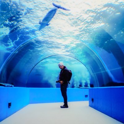 chimidoro69's profile picture. 北陸の田舎町で静かに暮らしてます