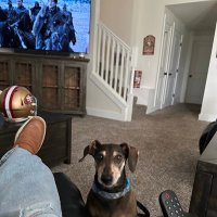 Mike George (@michaelgeo2213) 's Twitter Profile Photo Mike George (@michaelgeo2213) 's Twitter Profile Photo