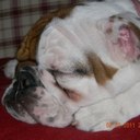 Maria Couture - @2dayiswhat - Twitter