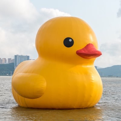 qauckyduckyy's profile picture. 🦆❤️🐐