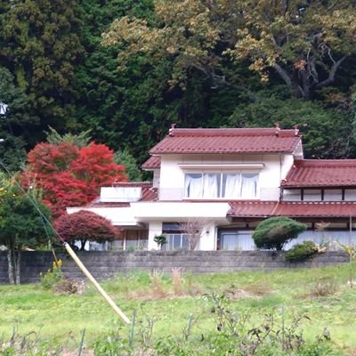 t8mOYNcKAa11674's profile picture. 三人の男の子を育てあげ今は夫と二人暮しで、第二の新婚時代を過ごしています。

熟年離婚が多い中、第二の新婚さんです😀