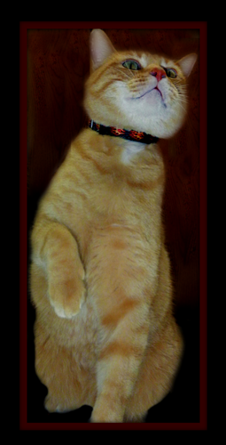 MabelAnn2012's profile picture. 