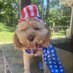 Grudawg (@grudawg1) Twitter profile photo Grudawg (@grudawg1) Twitter profile photo