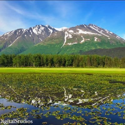 Moore Digital Studio captures life’s moments in pixels, transforming ordinary scenes into extraordinary memories. All images on X are our own unless reposted.
