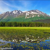 Moore Digital Studio (@mds907) 's Twitter Profile Photo