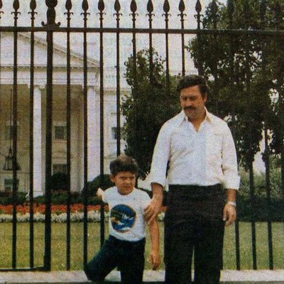 yazorgnits's profile picture. 