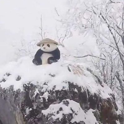 คิมซุง (ᓀ‸ᓂ)さんのプロフィール画像