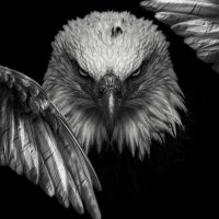 Barış Kartal (@barkar34) 's Twitter Profile