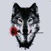 DarkVenom (@cryptowolf_oio) Twitter profile photo DarkVenom (@cryptowolf_oio) Twitter profile photo