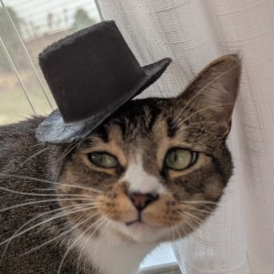 0xFFr0g's profile picture. 🐸 breaking stuff