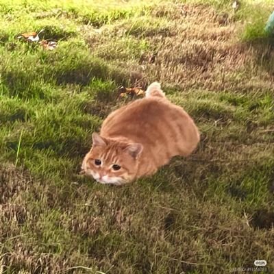 fatiiyha's profile picture. Love yourself, love myself✌️💜