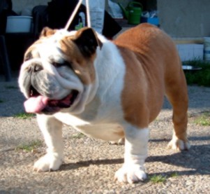 ihunter26's profile picture. 