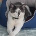 Bonnie, Troy ,Ash and Blake (@jengill94585833) Twitter profile photo Bonnie, Troy ,Ash and Blake (@jengill94585833) Twitter profile photo