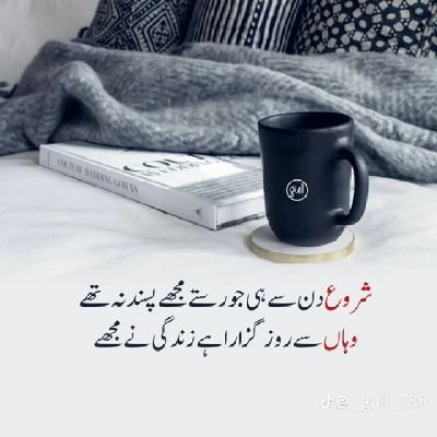 Zeeshan00061312's profile picture. proud pakistani