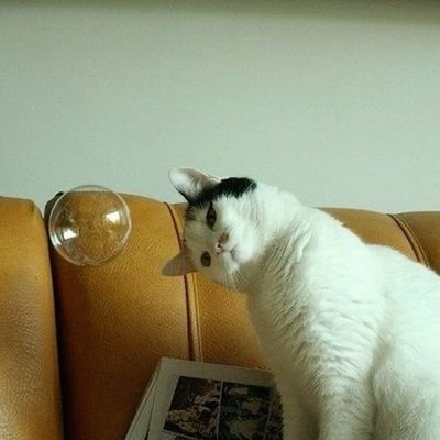 wldisprl's profile picture. 🖇️