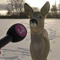 Uz* (@wokeupuzi) 's Twitter Profile Photo