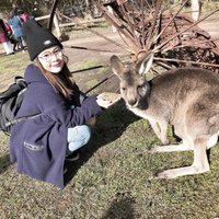 Lshirr (@lshirragvqh) 's Twitter Profile
