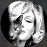 sissu (@_1sisu) Twitter profile photo