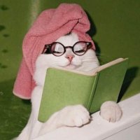 Скажена курка (@ooofop) 's Twitter Profile