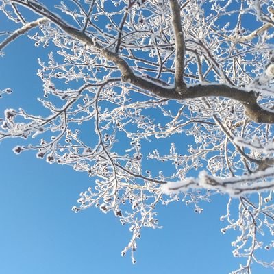 suurkiitos's profile picture. こちらはコンユに情緒が乱れてるアカウント