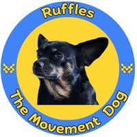 Ruffles (@ruffmoves) 's Twitter Profile Photo Ruffles (@ruffmoves) 's Twitter Profile Photo
